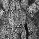 1108ar_pandercetes_sp01_w